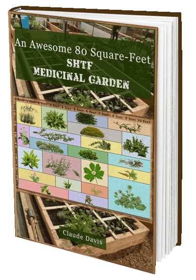 SHFT Medicinal Garden